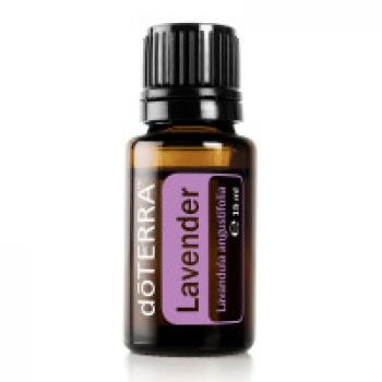 Lavender = Lavendel (Lavandula angustifolia)