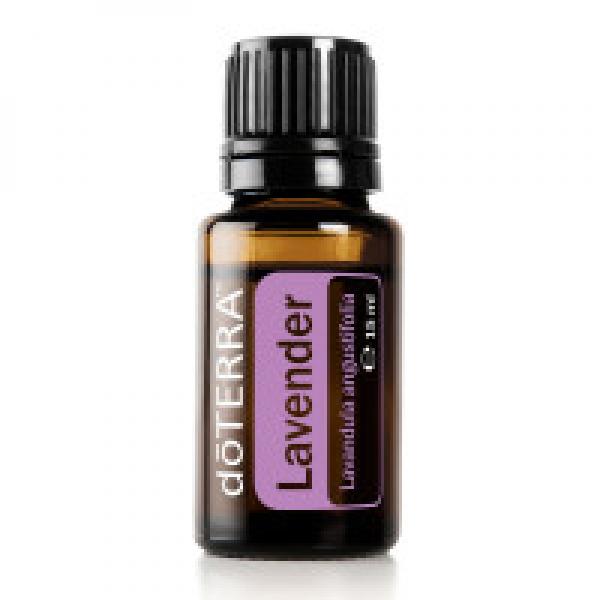 Lavender = Lavendel (Lavandula angustifolia)