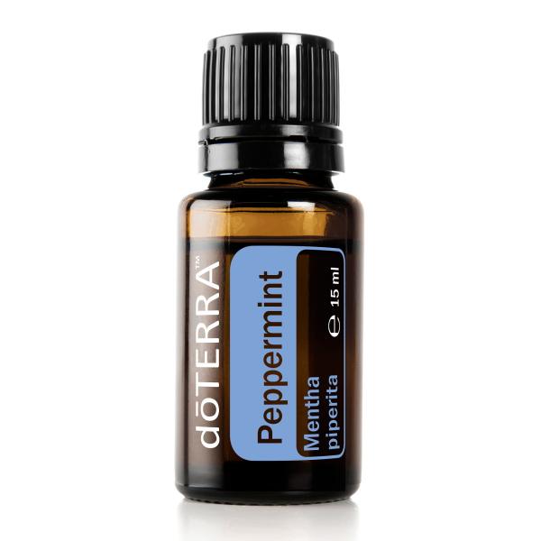 Pferfferminz = Peppermint (Mentha piperita)